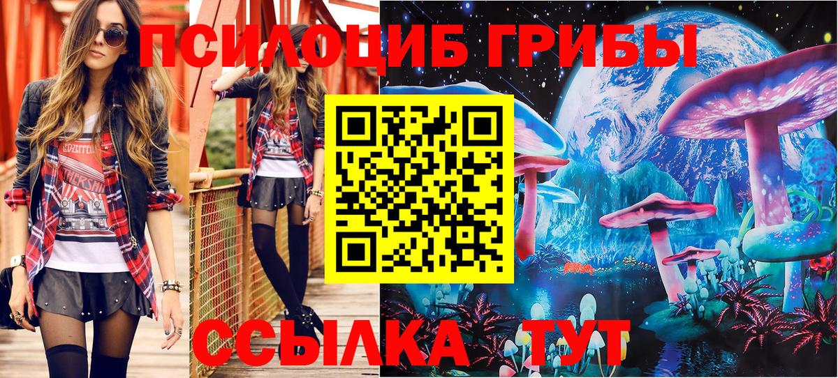 Галлюциногенные грибы Psilocybe Донской