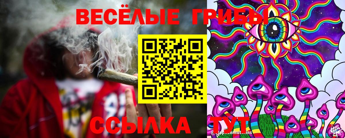 Псилоцибиновые грибы прущие грибы  Псилоцибиновые грибы мицелий  Вход с VPN  Донской 